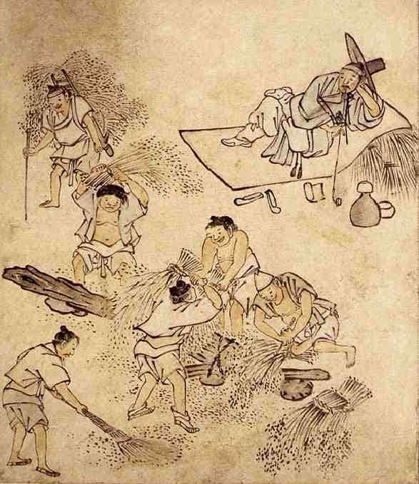 law 09 threshing rice.jpg