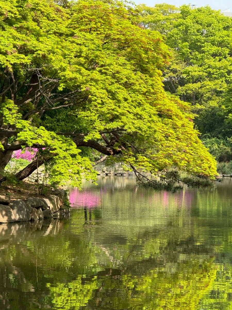 law 22 secret garden.jpg